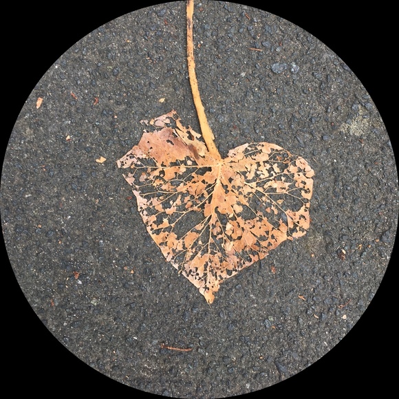 la_helsinki
